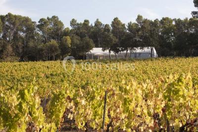 Location salle Lorgues (Var) - Domaine De Fauveris #21