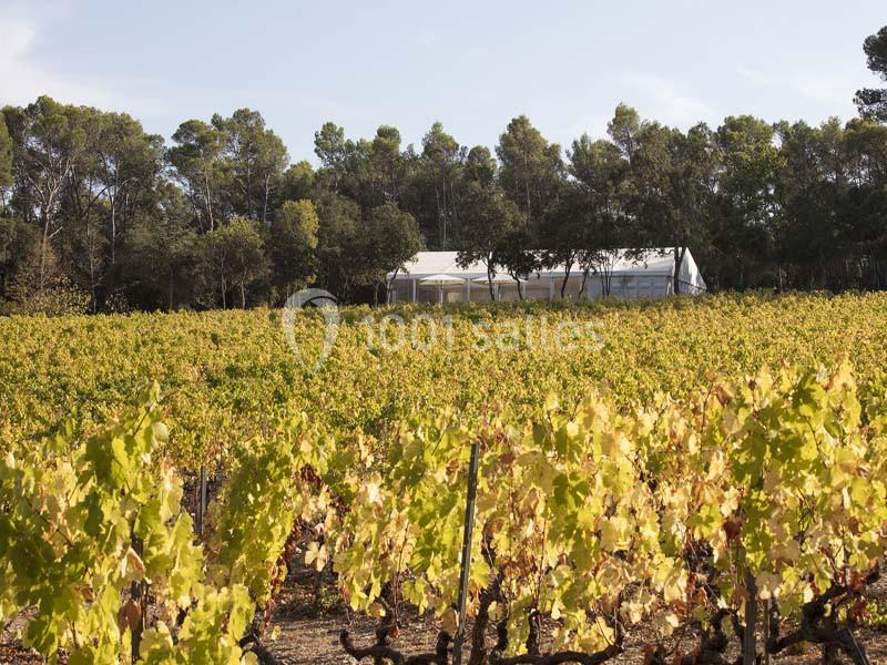Location salle Lorgues (Var) - Domaine De Fauveris #2