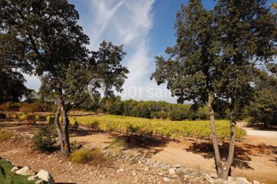 Location salle Lorgues (Var) - Domaine De Fauveris #21