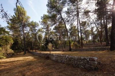 Location salle Lorgues (Var) - Domaine De Fauveris #21