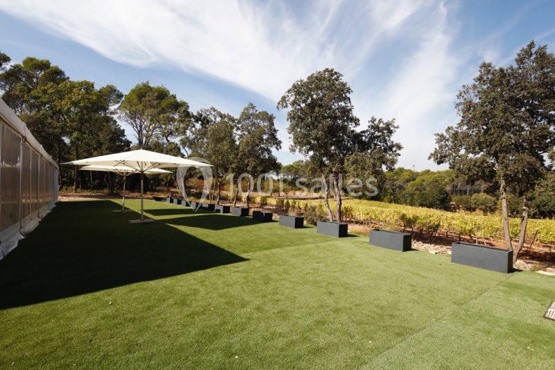 Location salle Lorgues (Var) - Domaine De Fauveris #6