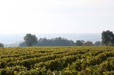 Location salle Noizay (Indre-et-Loire) - La Grange Des Barres #21