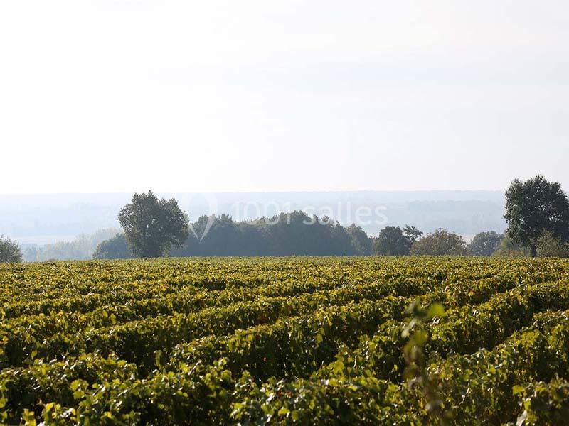 Location salle Noizay (Indre-et-Loire) - La Grange Des Barres #16