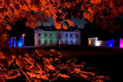 Bouquet de fleurs jaunes et blanches posé sur le capot d'une voiture ancienne noire, sous un ciel bleu.
