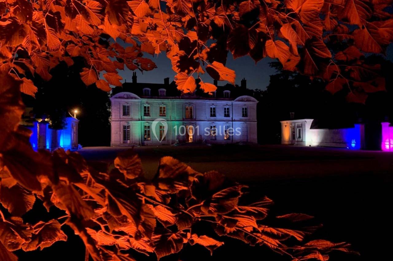 Façade d'un château éclairée par des lumières colorées, encadrée par des feuilles rouges au premier plan.