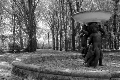 Bouquet de fleurs jaunes et blanches posé sur le capot d'une voiture ancienne noire, sous un ciel bleu.