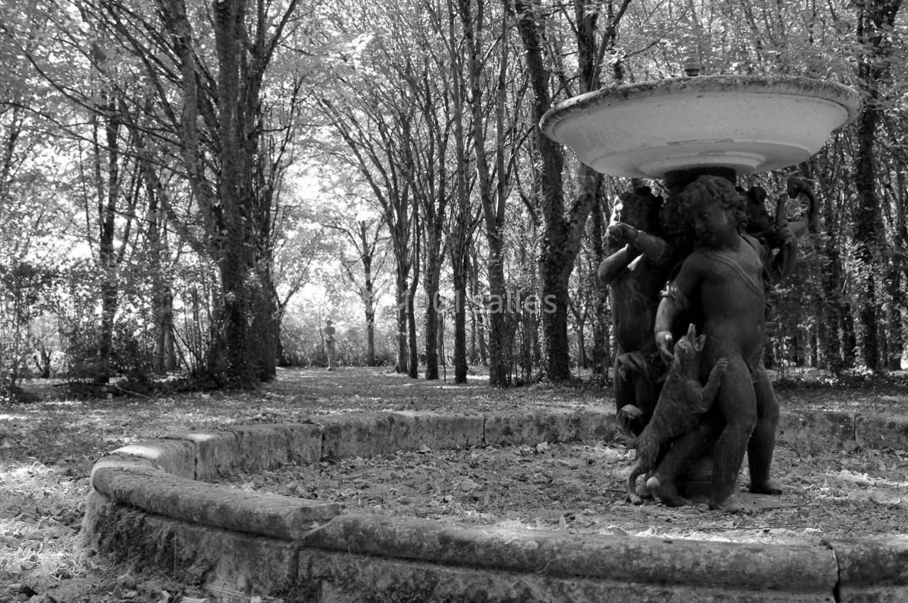 Fontaine ornée de statues d'enfants dans un parc boisé, entourée de feuilles tombées au sol.