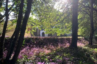 Bouquet de fleurs jaunes et blanches posé sur le capot d'une voiture ancienne noire, sous un ciel bleu.