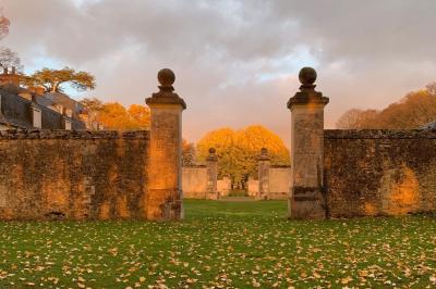 Bouquet de fleurs jaunes et blanches posé sur le capot d'une voiture ancienne noire, sous un ciel bleu.
