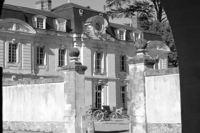 Bouquet de fleurs jaunes et blanches posé sur le capot d'une voiture ancienne noire, sous un ciel bleu.