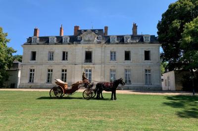 Bouquet de fleurs jaunes et blanches posé sur le capot d'une voiture ancienne noire, sous un ciel bleu.