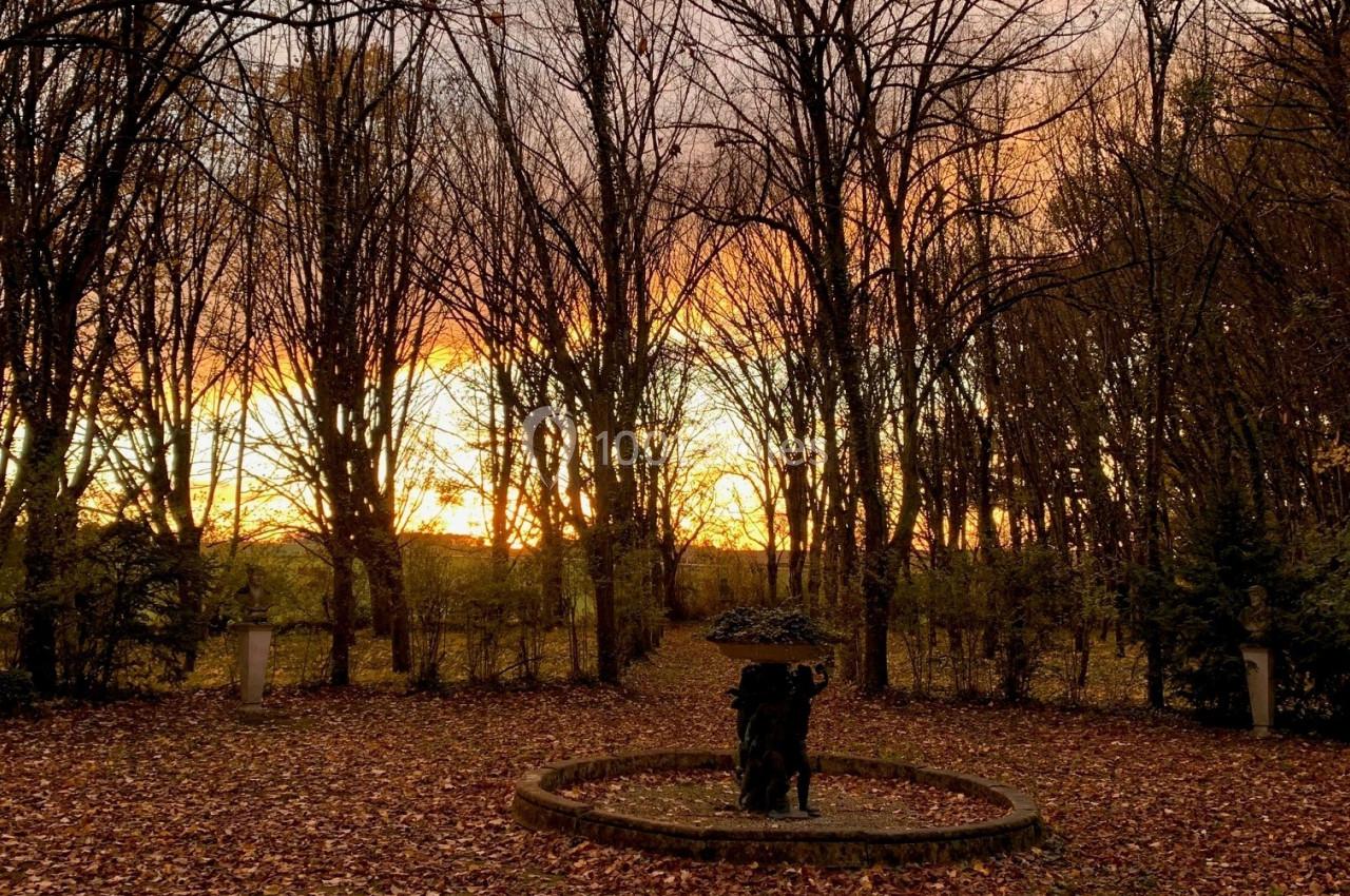 Coucher de soleil à travers des arbres dénudés, avec un tapis de feuilles mortes et une statue centrale dans un parc.