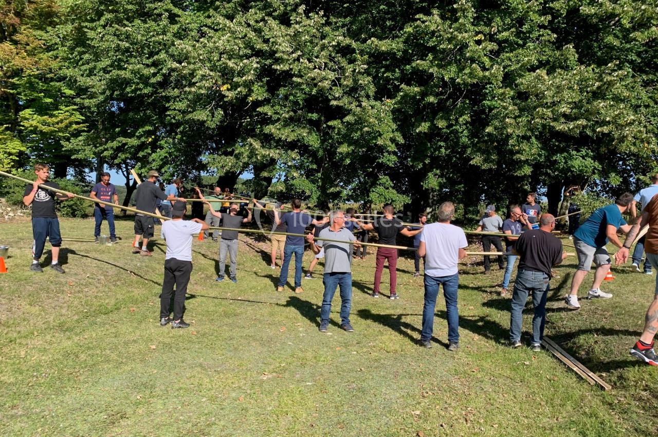 Des personnes collaborent pour soulever une longue poutre en bois dans un espace extérieur entouré d'arbres.