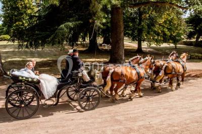 Miniature Location salle Saint-Bonnet-de-Joux (Saône-et-Loire) - Ecuries Du Château De Chaumont-laguiche #2 Location salle Saint-Bonnet-de-Joux (Saône-et-Loire) - Ecuries Du Château De Chaumont-laguiche #10