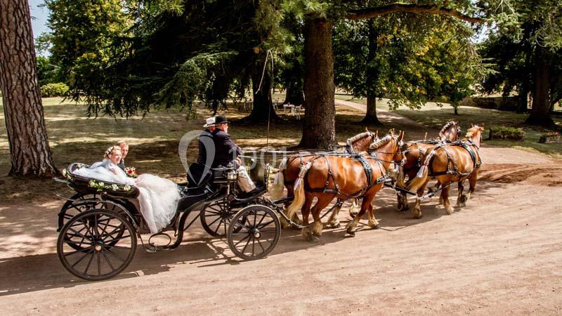 Location salle Saint-Bonnet-de-Joux (Saône-et-Loire) - Ecuries Du Château De Chaumont-laguiche #2