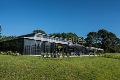Table en bois dressée avec vaisselle, verres, fruits et fleurs, dans une salle lumineuse au décor chaleureux.