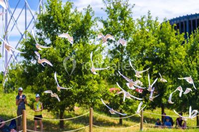 Location salle Ungersheim (Haut-Rhin) - Le Parc du Petit Prince #22