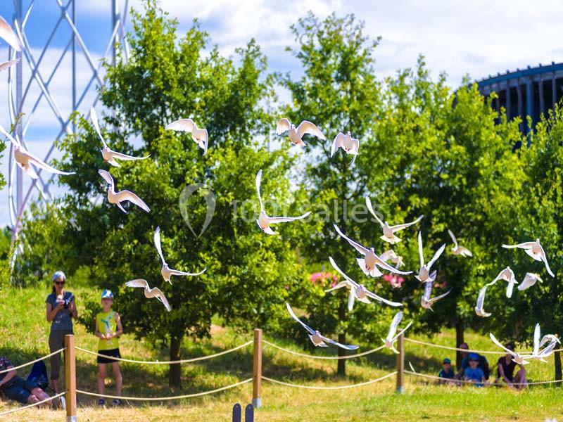 Location salle Ungersheim (Haut-Rhin) - Le Parc du Petit Prince #11