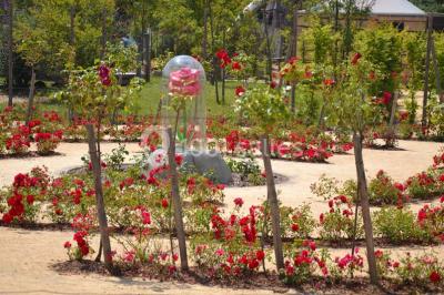 Location salle Ungersheim (Haut-Rhin) - Le Parc du Petit Prince #22