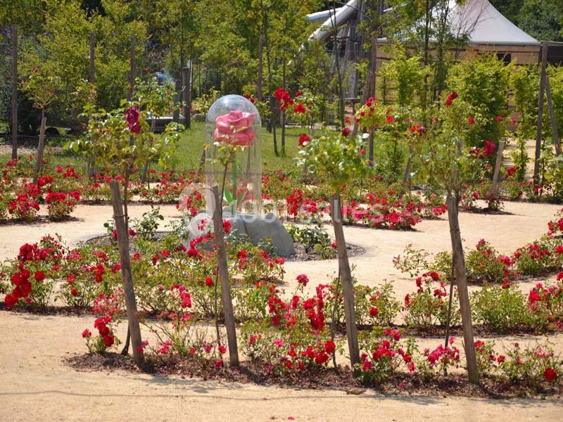 Location salle Ungersheim (Haut-Rhin) - Le Parc du Petit Prince #13