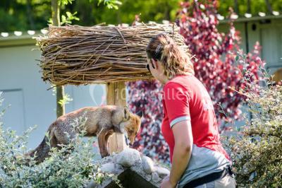 Location salle Ungersheim (Haut-Rhin) - Le Parc du Petit Prince #22