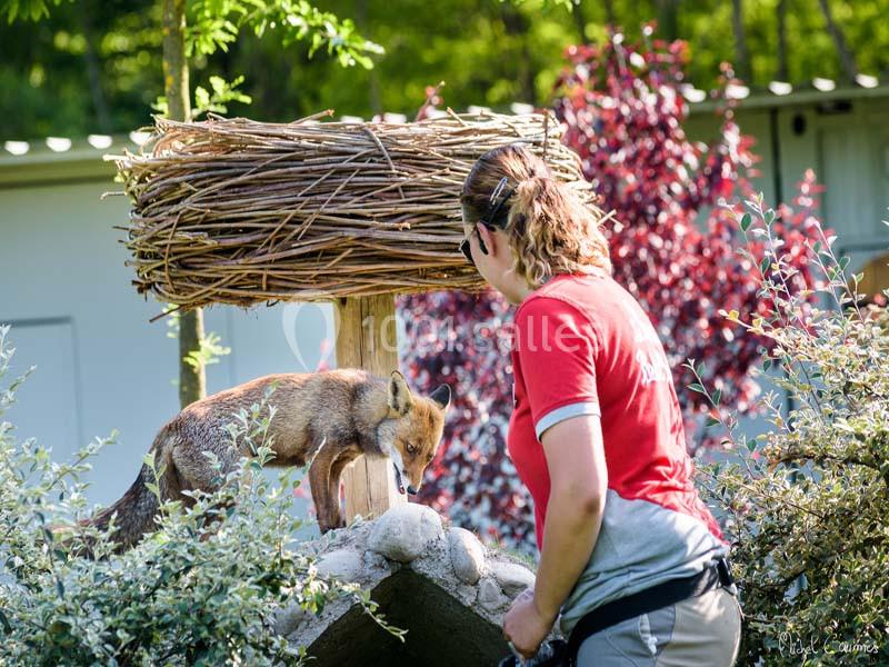 Location salle Ungersheim (Haut-Rhin) - Le Parc du Petit Prince #19