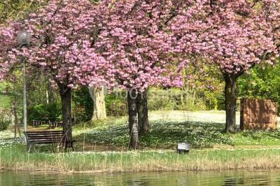 Location salle Villeneuve-la-Garenne (Hauts-de-Seine) - Les Chanteraines #20