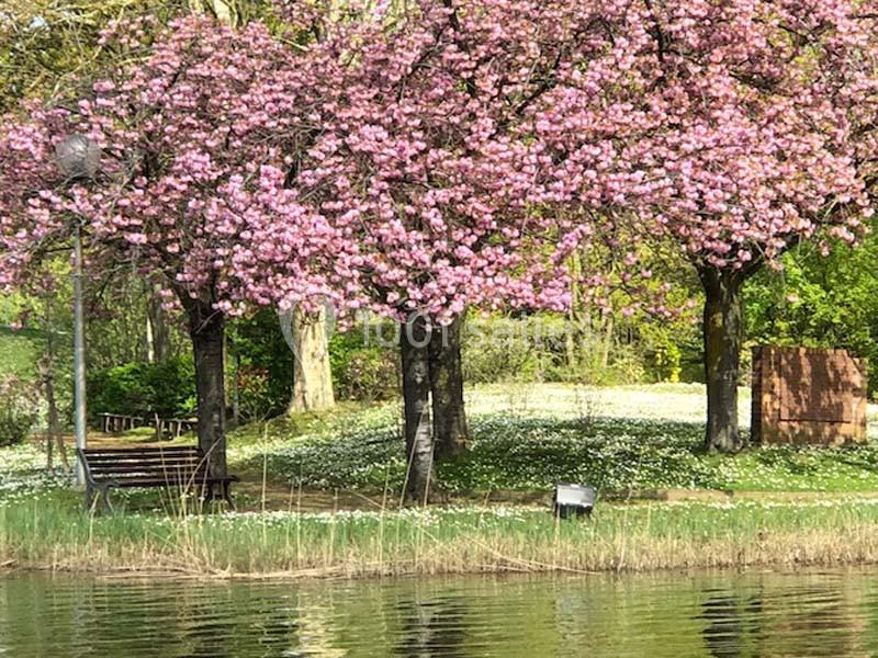 Location salle Villeneuve-la-Garenne (Hauts-de-Seine) - Les Chanteraines #6