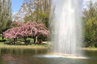 Location salle Villeneuve-la-Garenne (Hauts-de-Seine) - Les Chanteraines #20