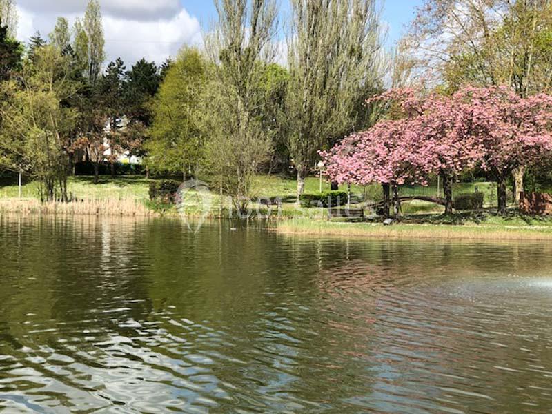 Location salle Villeneuve-la-Garenne (Hauts-de-Seine) - Les Chanteraines #8