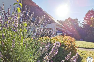 Salle de sport avec vélos d'appartement, tapis de course, ballon d'exercice et équipements de musculation.
