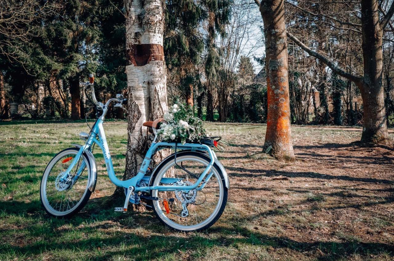 Vélo bleu appuyé contre un arbre dans un parc, avec un panier de fleurs blanches à l'arrière.