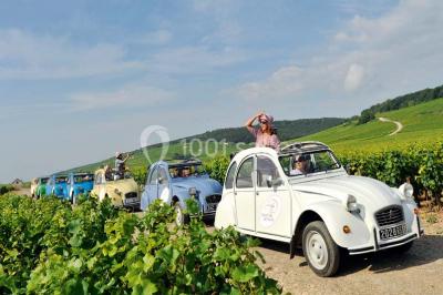 Location salle Dijon (Côte-d'Or) - Bourgogne-Franche-Comté Séminaires & Events #21