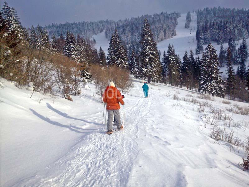 Location salle Dijon (Côte-d'Or) - Bourgogne-Franche-Comté Séminaires & Events #17