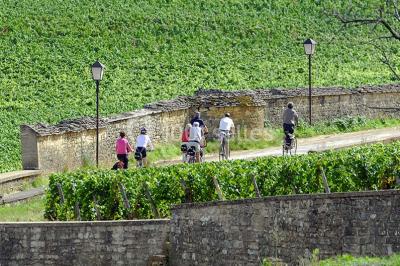 Location salle Dijon (Côte-d'Or) - Bourgogne-Franche-Comté Séminaires & Events #21