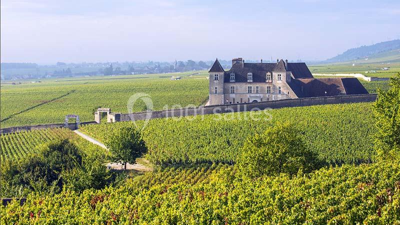 Location salle Dijon (Côte-d'Or) - Bourgogne-Franche-Comté Séminaires & Events #14