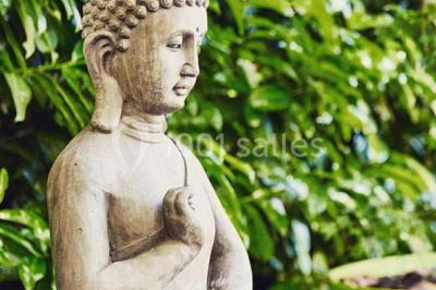 Location salle Villeurbanne (Rhône) - Le Jardin De Pré Fleuri #17