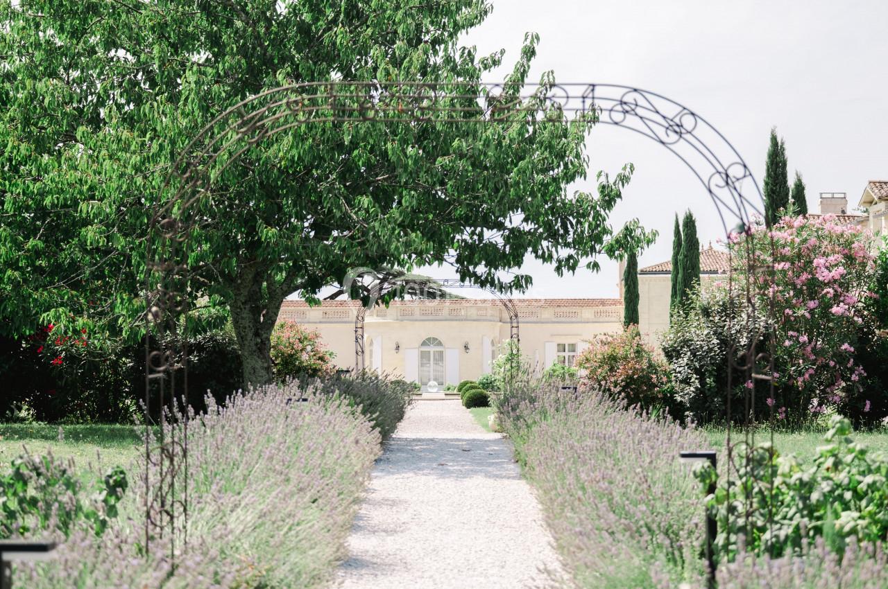 Extérieur Château Gassies Allée bordée de lavande menant à une maison en pierre claire, encadrée par des arbres et des arches métalliques.