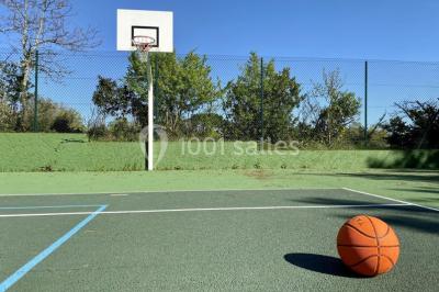 Miniature Terrain multisport Grande maison en pierre entourée d'un jardin fleuri et arboré, sous un ciel clair.