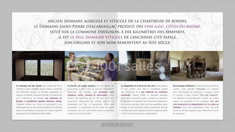 Deux hommes discutent dans un domaine viticole avec vue sur des vignes, une bouteille de vin et une salle voûtée visibles.