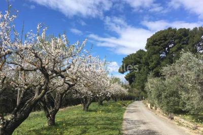 Plan de table sur un chevalet près de l'entrée d'une salle éclairée par des guirlandes lumineuses, ambiance festive.