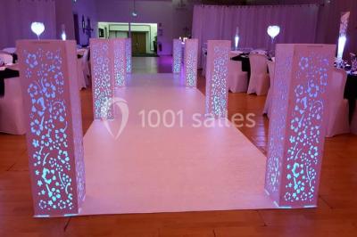 Location salle Vienne (Isère) - Baccarat Réception #22