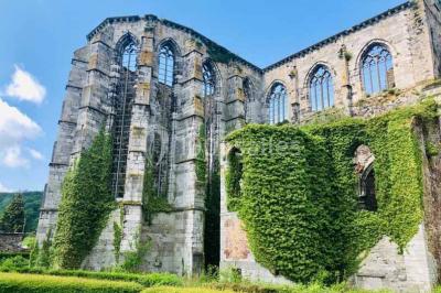 Ruines d'une abbaye gothique avec des arches et des fenêtres sans vitraux, entourées de végétation.