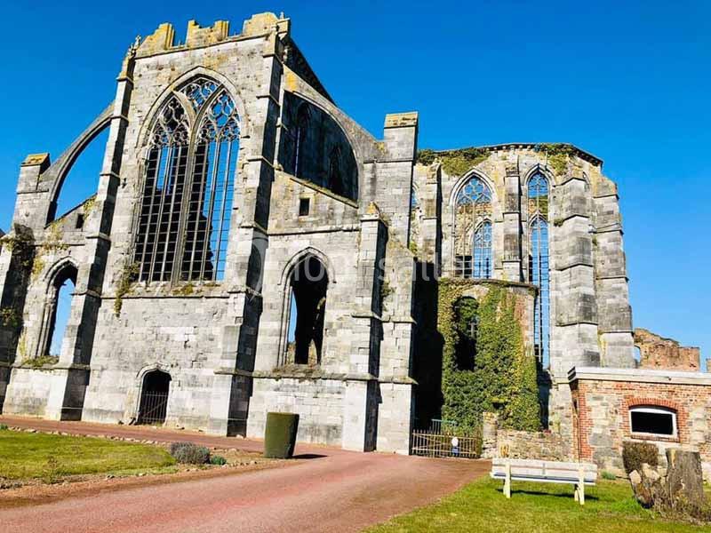 Ruines d'une abbaye en pierre avec des fenêtres gothiques, entourées de végétation et d'un ciel bleu clair.