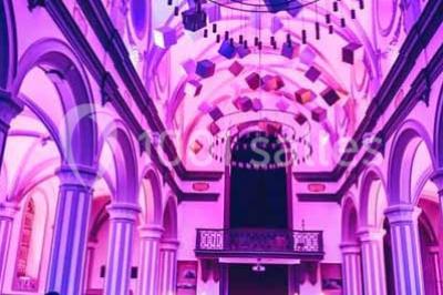 Ruines d'une abbaye gothique avec des arches et des fenêtres sans vitraux, entourées de végétation.