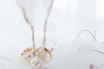 Location salle Rivière-Salée (Martinique) - Domaine De L'oasis #24