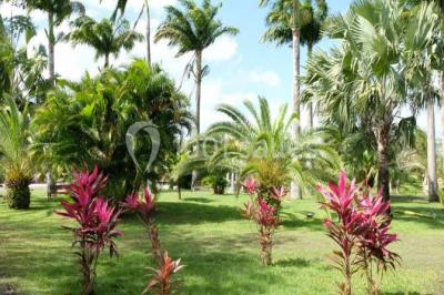 Location salle Rivière-Salée (Martinique) - Domaine De L'oasis #24