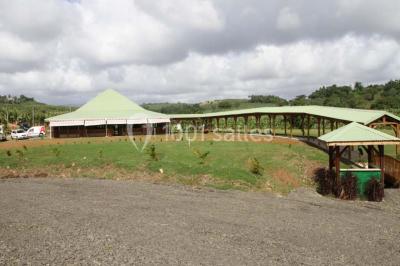 Location salle Le Lamentin (Martinique) - Les Jardins De Belfort #6