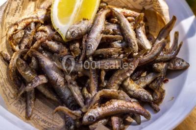 Location salle Sainte-Paule (Rhône) - La Rivière Au Bord De L'eau #19