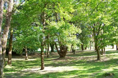 Une mariée en robe blanche est assise sur un banc en bois décoré des lettres ’A&J’, tenant un bouquet de fleurs.
